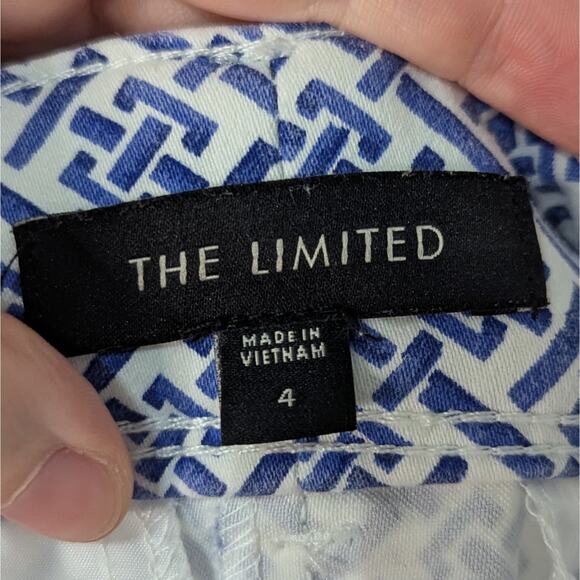The Limited Blue & White Patterned Flat Front Preppy Chino Shorts Size 4 - Picture 5 of 8